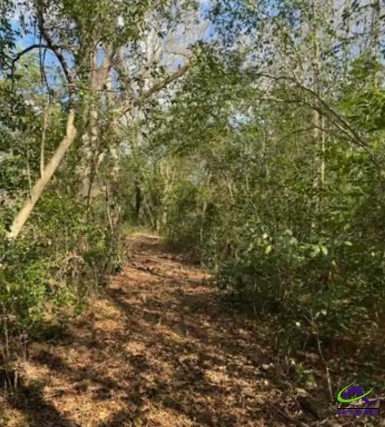 0000 South Street aka Market Street, Marshallville, GA 31057 - #2