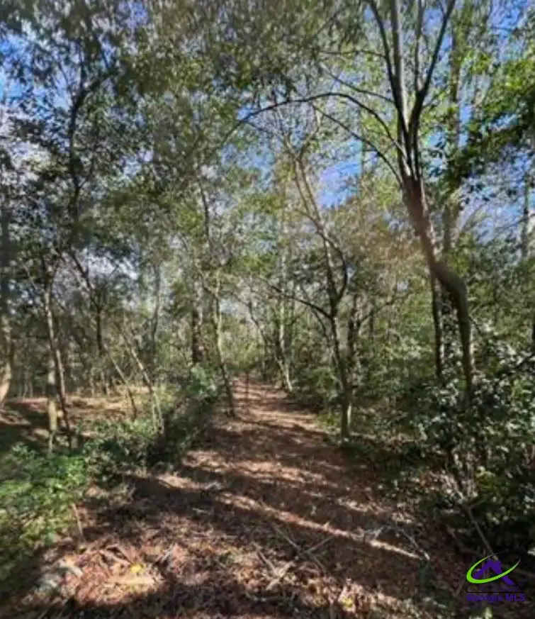 0000 South Street aka Market Street, Marshallville, GA 31057 - #3