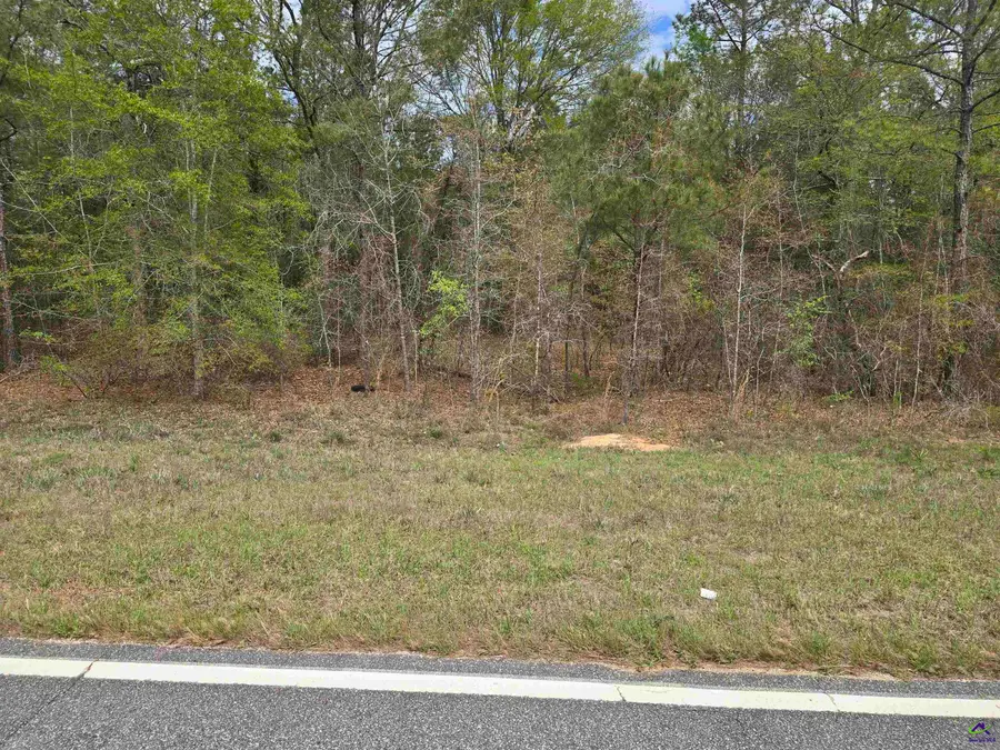 0 Pottery Road, Lizella, GA 31052 - #3