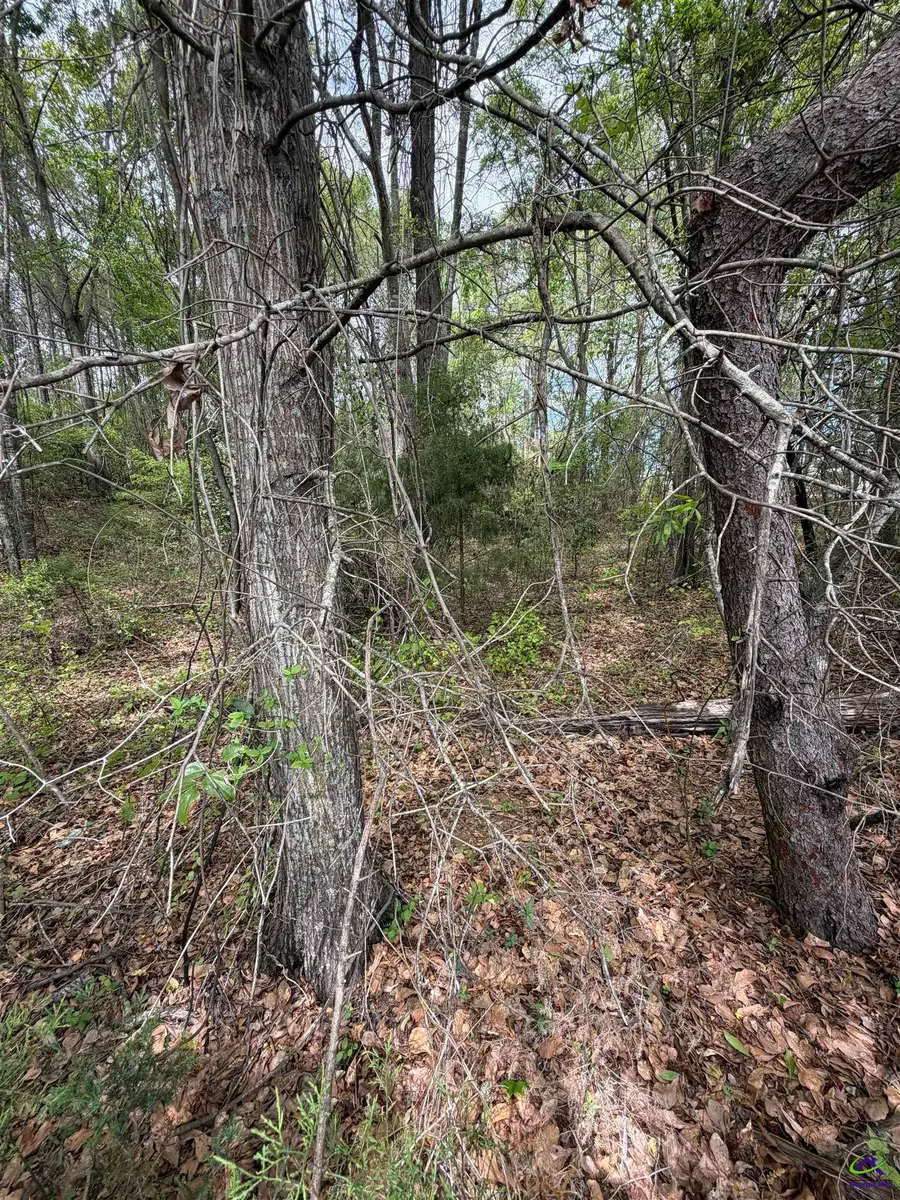 Old Perry Road, Bonaire, GA 31005 - #2