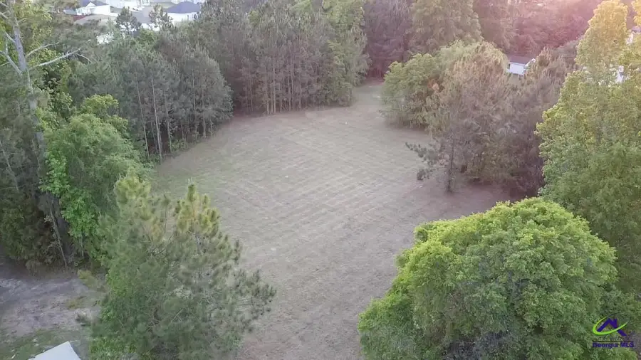 0 Craftway Drive, Hawkinsville, GA 31036 - #2