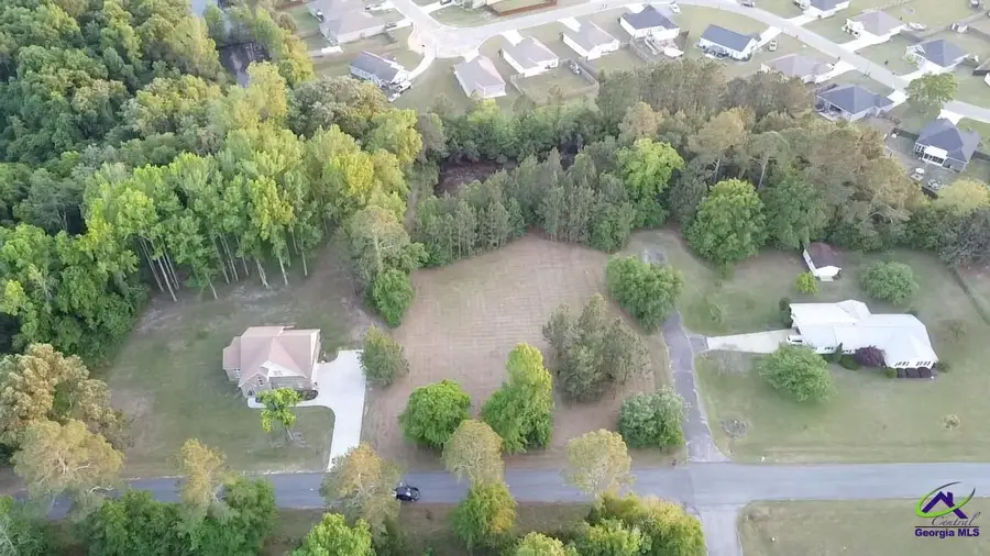 0 Craftway Drive, Hawkinsville, GA 31036 - #3