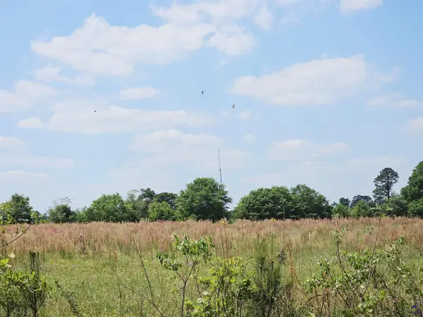 0 Lavender Rd, Ivey, GA 31031