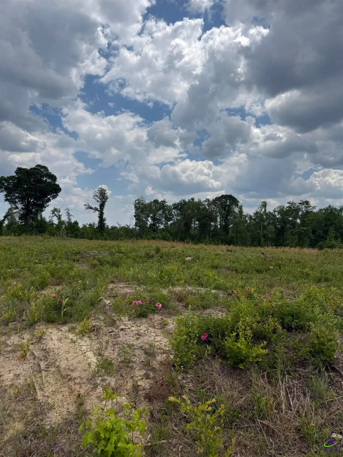 J D Williams Road, Cadwell, GA 31009 - #1