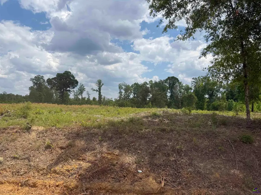 J D Williams Road, Cadwell, GA 31009 - #2