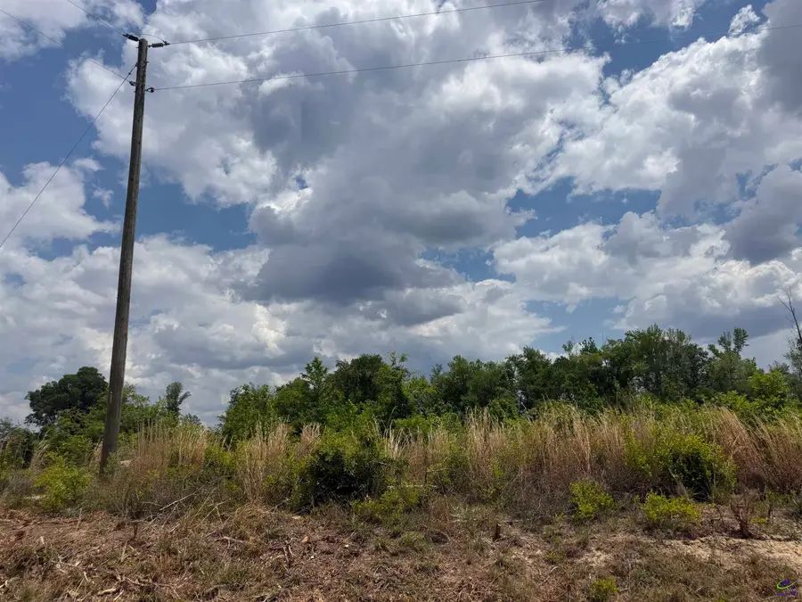 J D Williams Road, Cadwell, GA 31009 - #3