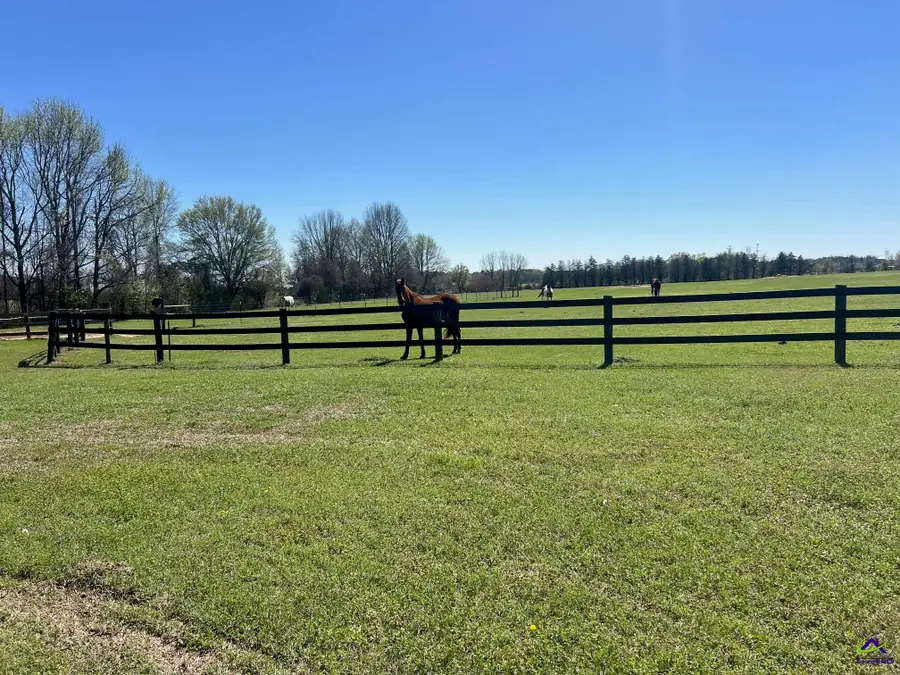 1670 W White Road, Byron, GA 31008 - #2
