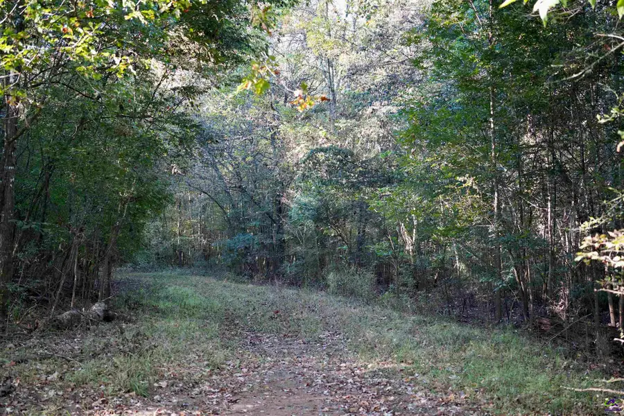 W 96 Highway, Bonaire, GA 31005 - #2