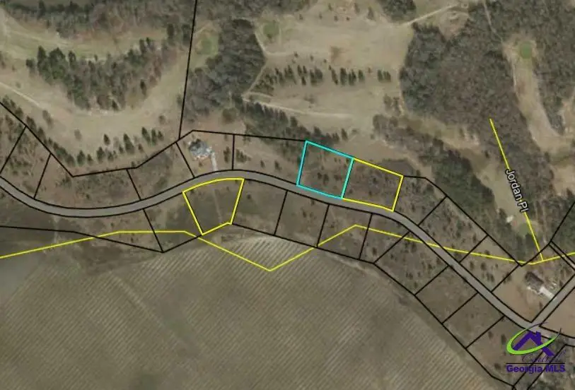 LOT 47 Woodland Trail, Cochran, GA 31014 - #2