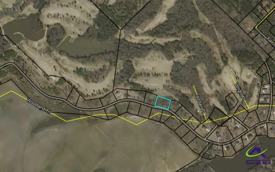 LOT 46 Woodland Trail, Cochran, GA 31014 - #2