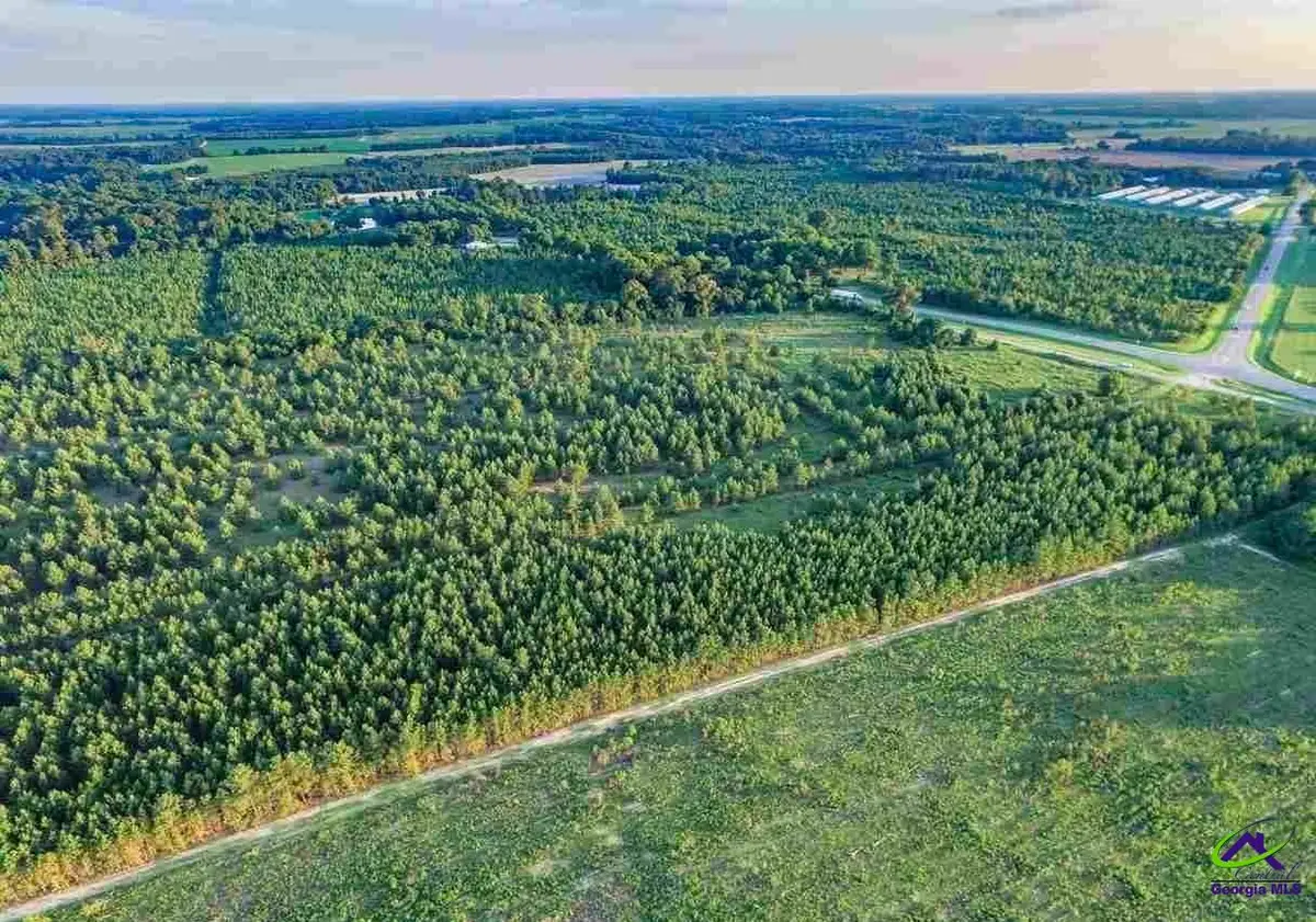 0 Palm Circle, Hawkinsville, GA 31036 - #1
