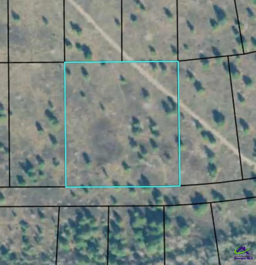 0 Palm Circle, Hawkinsville, GA 31036 - #2