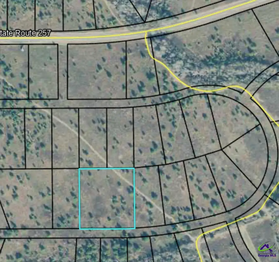 0 Palm Circle, Hawkinsville, GA 31036 - #3