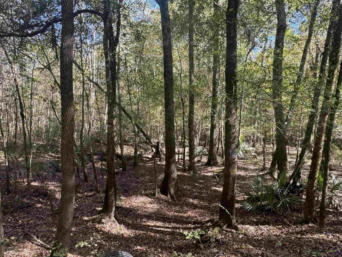 00 Sand Hammock, Hawkinsville, GA 31036 - #1