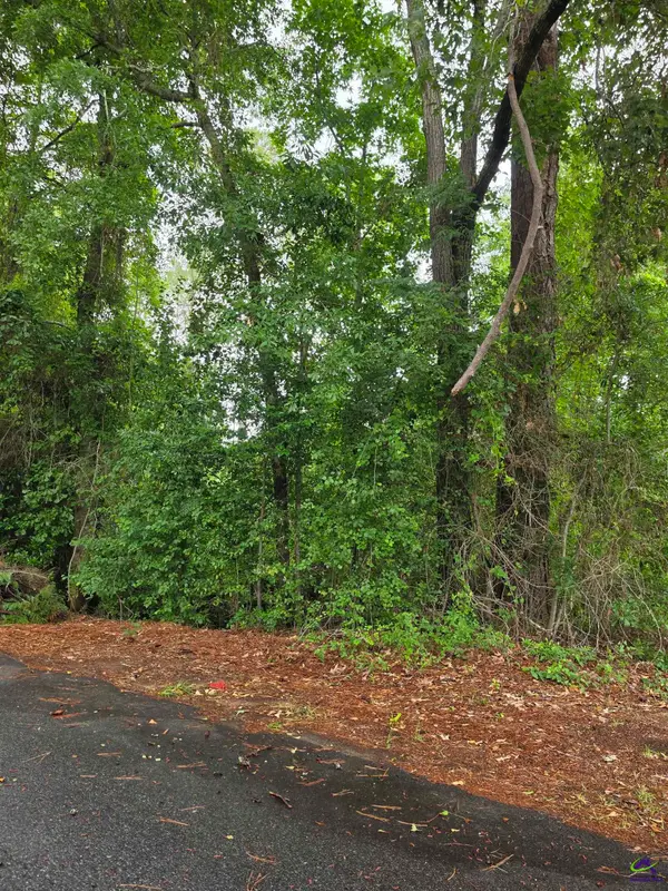 12 Reynolds Street, Hawkinsville, GA 31036