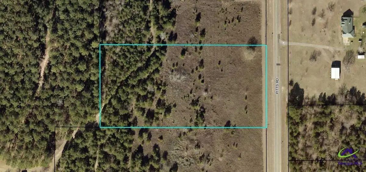 4.13 +/- acres Pitts Rd, Hawkinsville, GA 31036 - #1