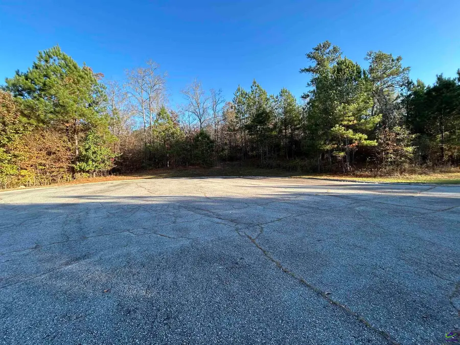 2303 Grand Harbour Drive, Lizella, GA 31052 - #3