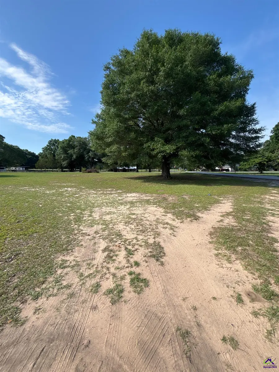 Lot# 15 Airport Subdivision Road, Hawkinsville, GA 31036 - #3