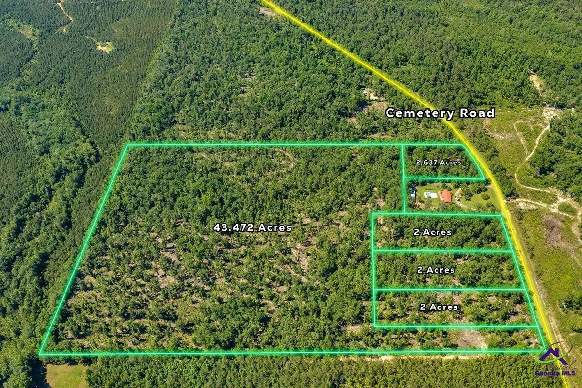 Parcel 1 Everett Wood Road, Oglethorpe, GA 31068 - #1