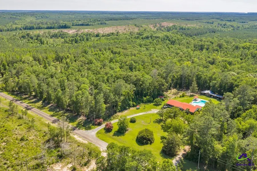 Parcel 1 Everett Wood Road, Oglethorpe, GA 31068 - #2