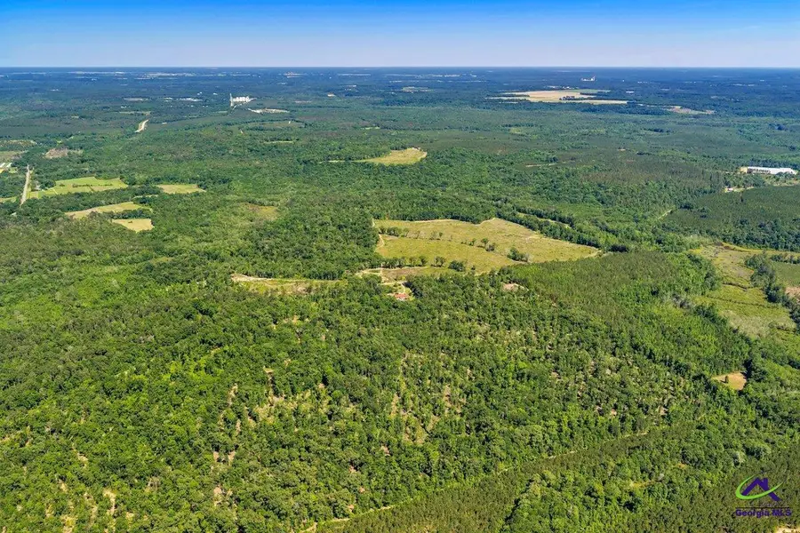 Parcel 1 Everett Wood Road, Oglethorpe, GA 31068 - #3