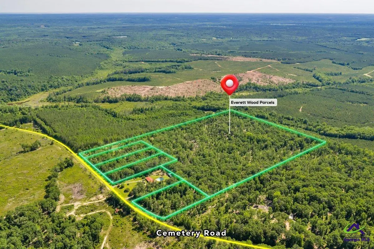 Parcel 3 Everett Wood Road, Oglethorpe, GA 31068 - #1