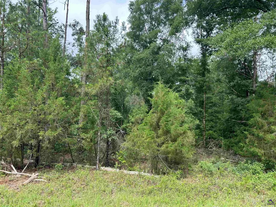 Parcel 4 Everett Wood Road, Oglethorpe, GA 31068 - #3