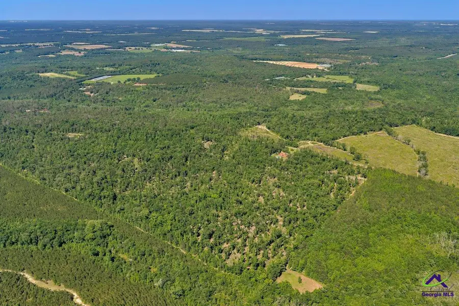 Parcel 5 Everett Wood Road, Oglethorpe, GA 31068 - #2