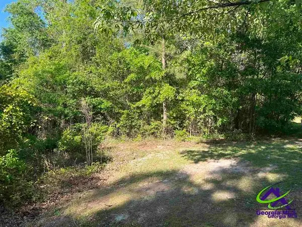 0 Michael Court, Bonaire, GA 31005