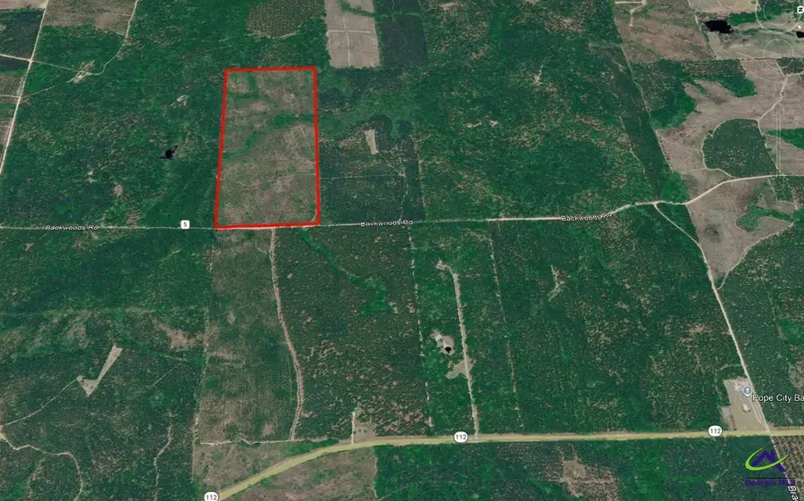 Backwoods Road, Rochelle, GA 31079 - #3