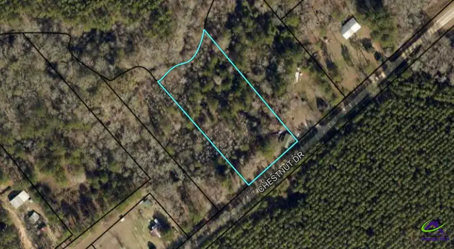 0 Chestnut Drive, Eastman, GA 31023 - #2