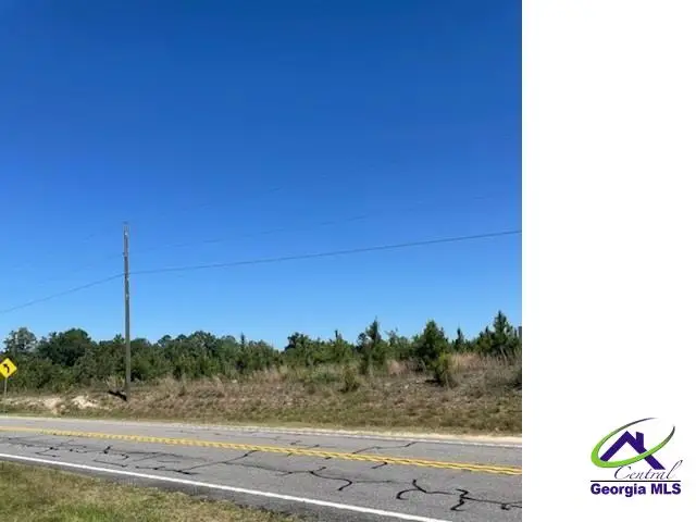 Abbeville Highway, Eastman, GA 31023 - #2