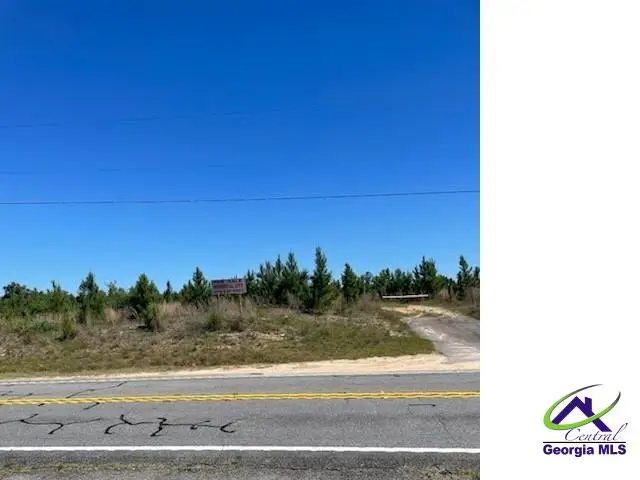 Abbeville Highway, Eastman, GA 31023 - #3