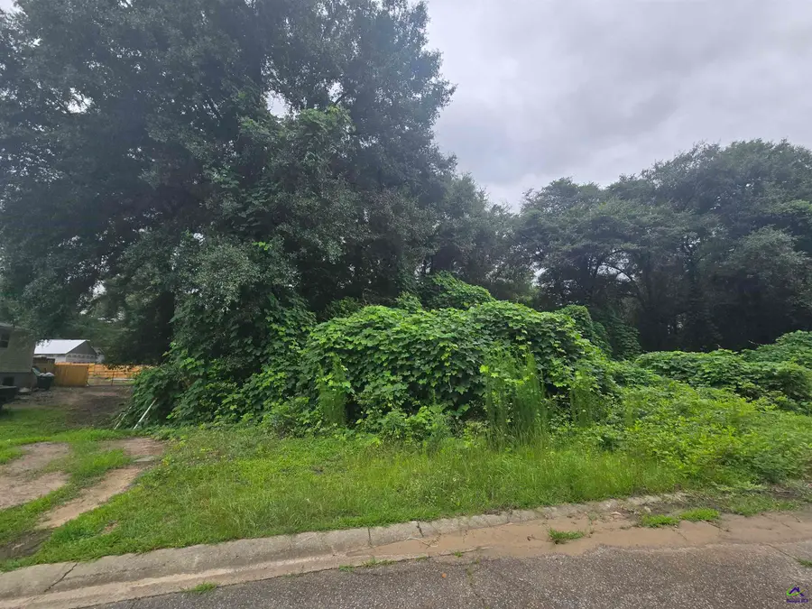 317 Merry Way, Perry, GA 31069 - #3