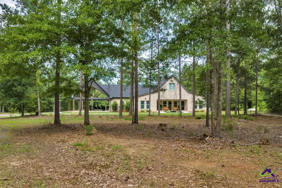 111 Brown Hill Road, Elko, GA 31025 - #2