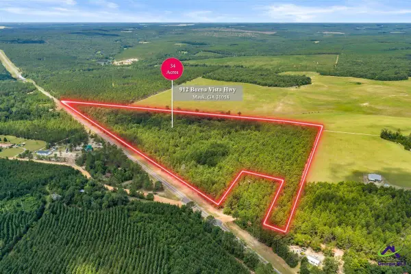 912 Buena Vista Highway, Mauk, GA 31058
