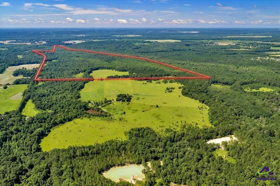 0 Sandbed Road, Kathleen, GA 31047 - #3