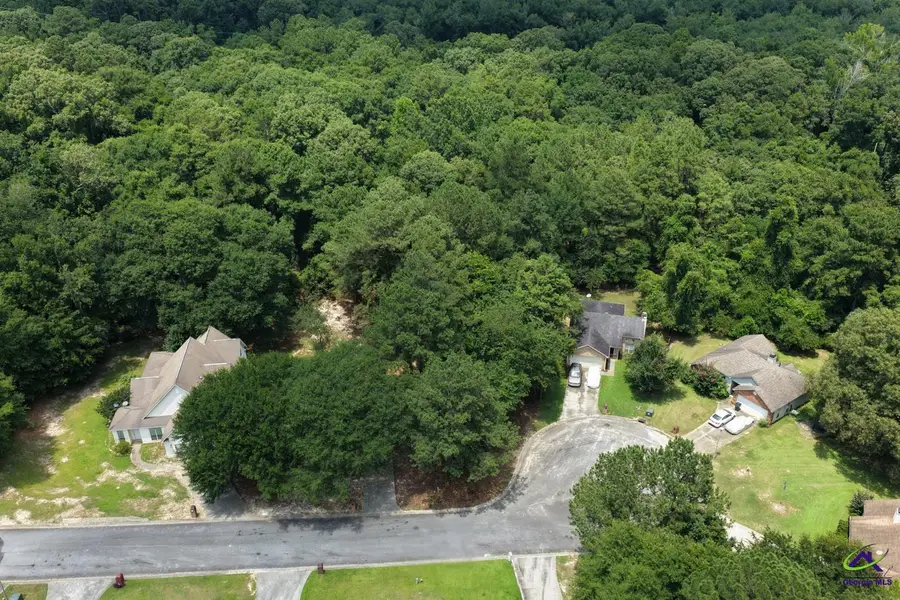 157 Carriage Hill Drive, Warner Robins, GA 31088 - #2