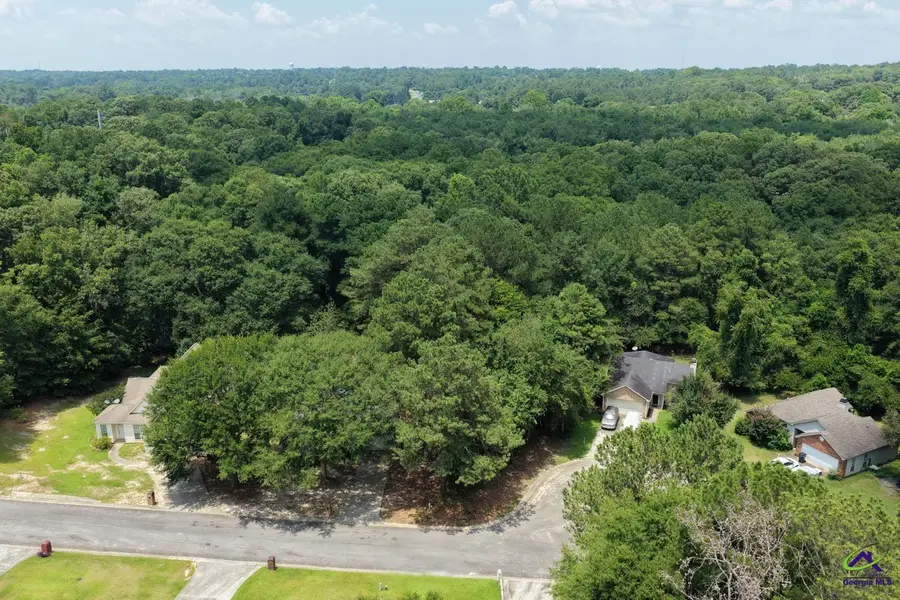 157 Carriage Hill Drive, Warner Robins, GA 31088 - #3