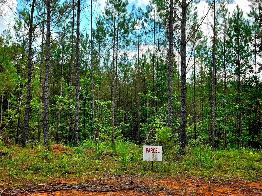 0 S Highway 42, Forsyth, GA 31029 - #3