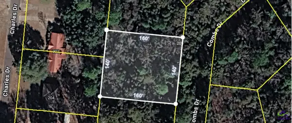 205 Combs Drive, Montezuma, GA 31063