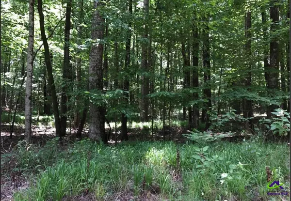 6889 Colaparchee Rd, Macon, GA 31210