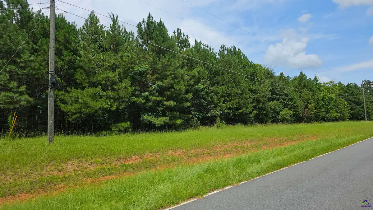 307  Lee Paul Rd, Hawkinsville, GA 31036 - #1