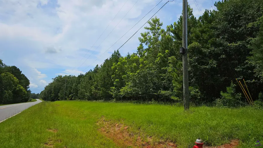 307  Lee Paul Rd, Hawkinsville, GA 31036 - #2
