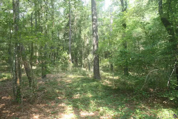 176 Seagull, Cochran, GA 31014
