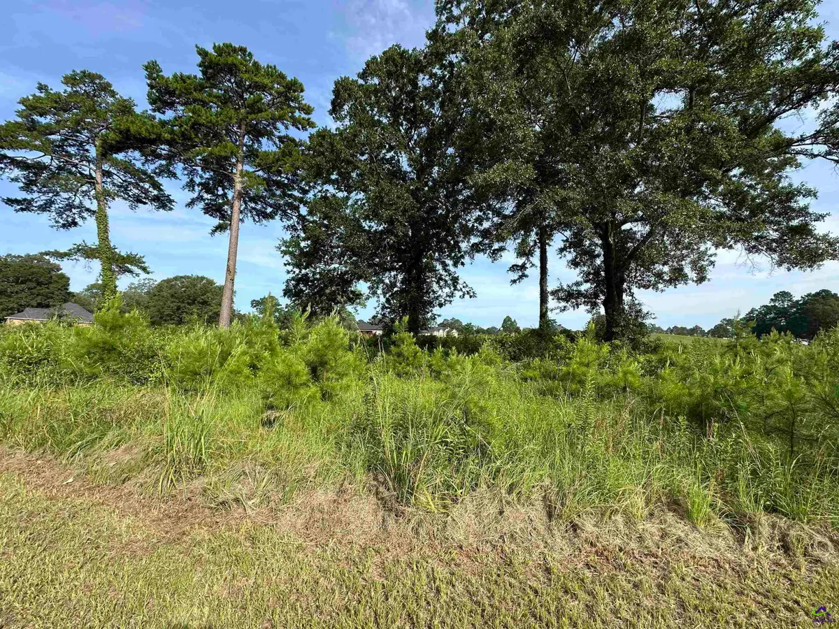 Lt 21 Camden Way, Hawkinsville, GA 31063 - #1