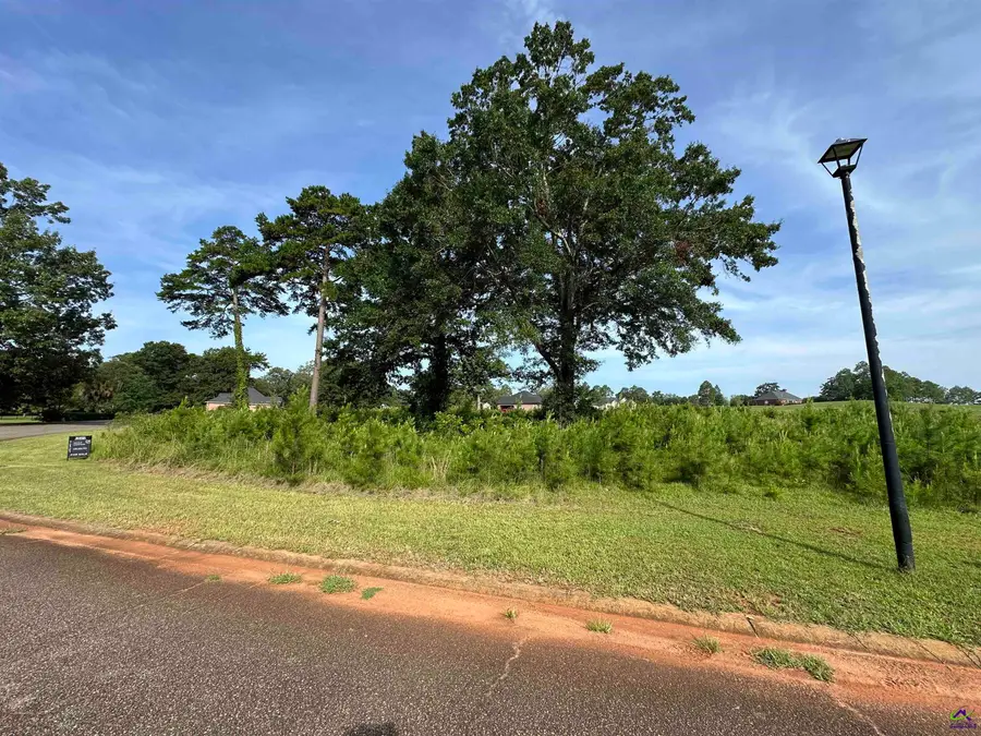Lt 21 Camden Way, Hawkinsville, GA 31063 - #2