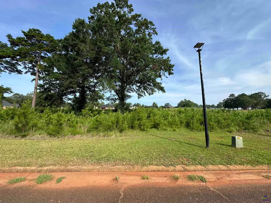 Lt 21 Camden Way, Hawkinsville, GA 31063 - #3