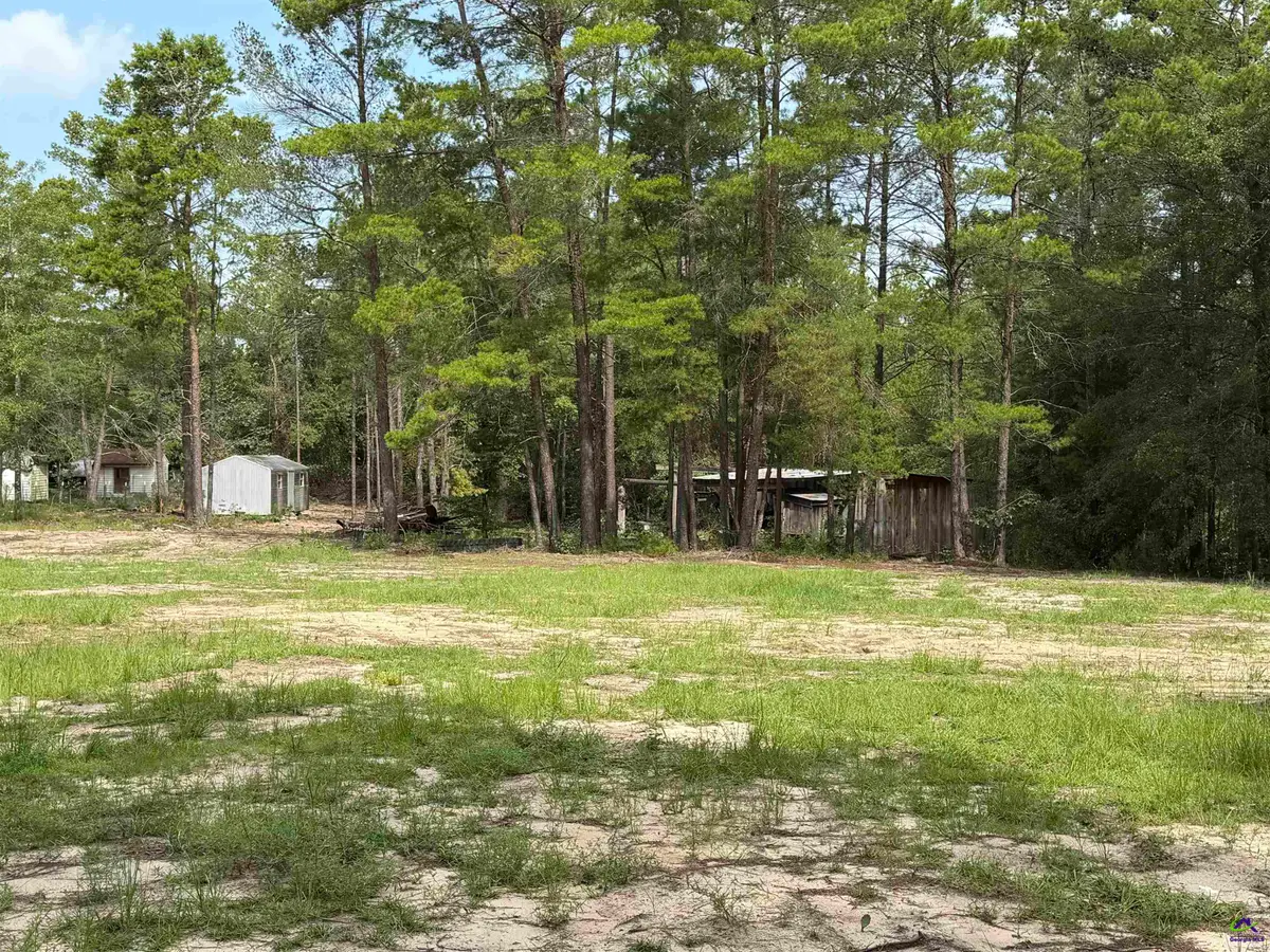 Lot 9 Hortman Mill Road, Roberta, GA 31078 - #1