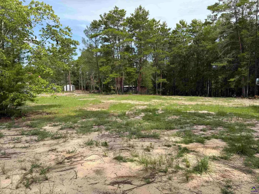Lot 9 Hortman Mill Road, Roberta, GA 31078 - #2